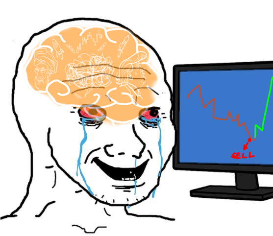 Schizo Coin tweet media