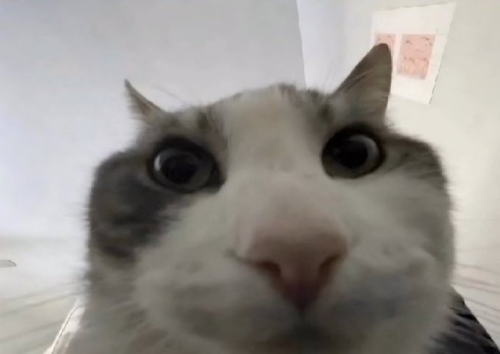 Chris :) tweet media