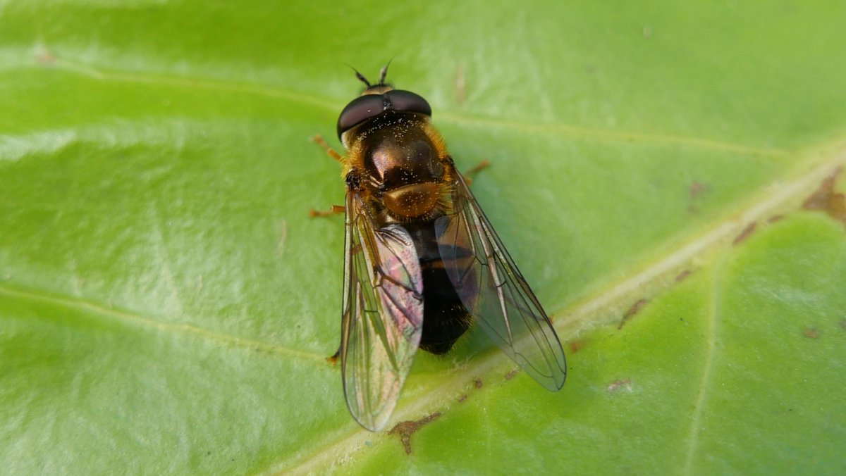 Simon Knott tweet media