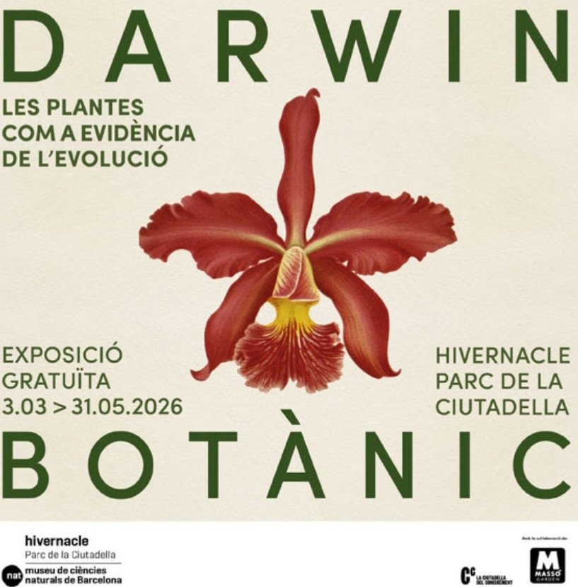 GT Documents Gràfics tweet media