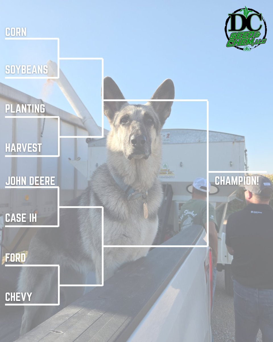 Dallas Choat tweet media