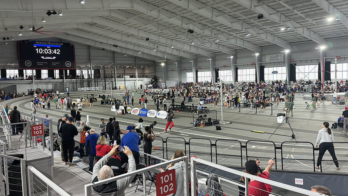 Purple Striders tweet media