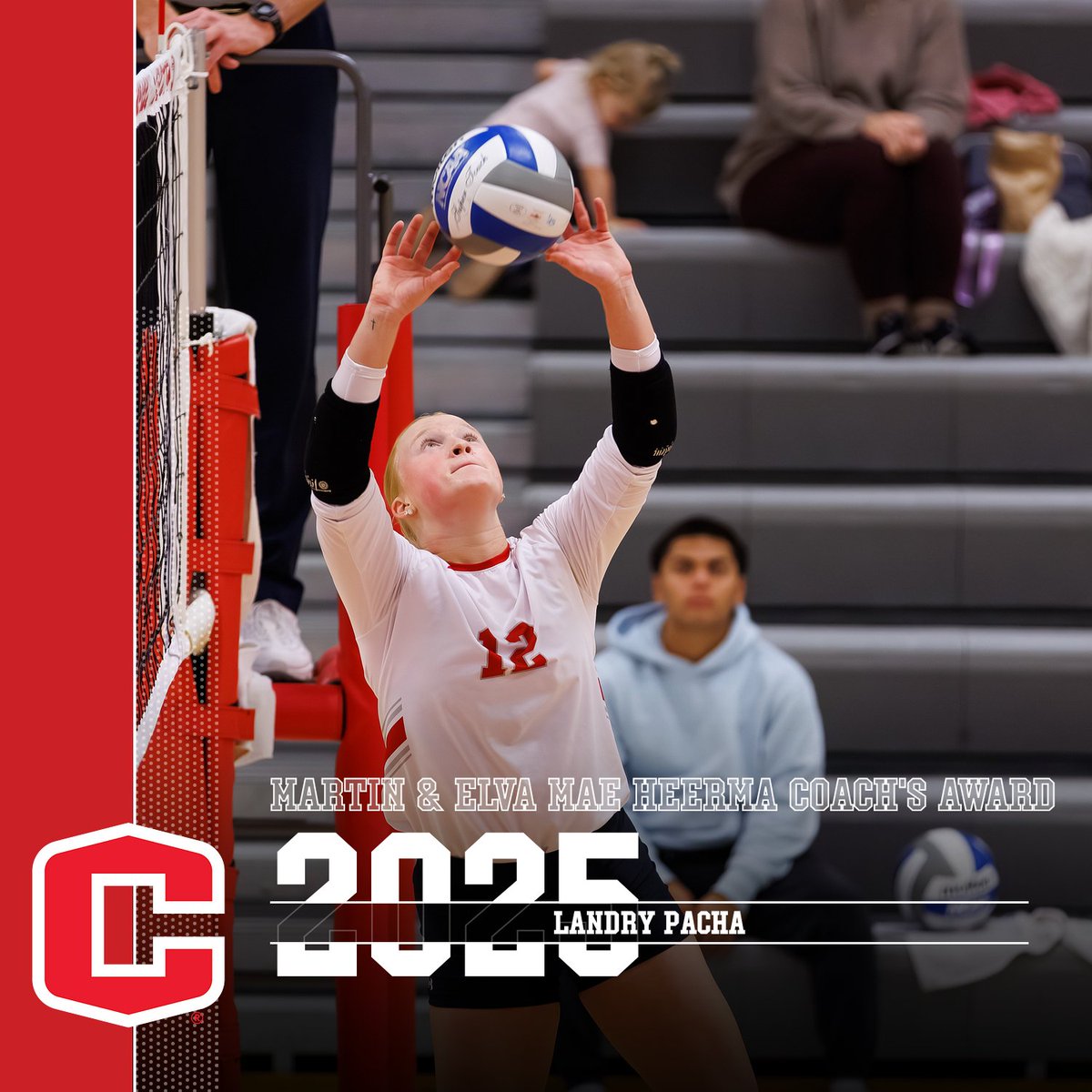 Central Volleyball tweet media