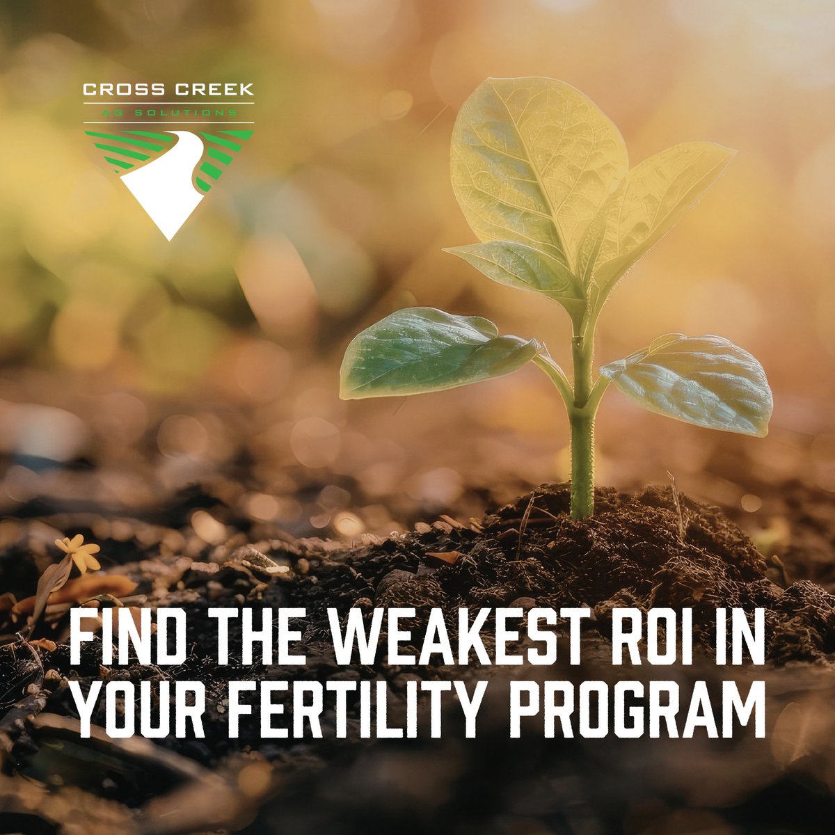 ccagsolutions's tweet photo. Not all nutrients generate the same return. Some nutrients pay you back big… Others barely move the needle. When you find the part of your program with the lowest ROI, that’s the area that needs the most attention. The quickest way to increase profit is fixing the weakest link. https://t.co/RIKuX0RLZj