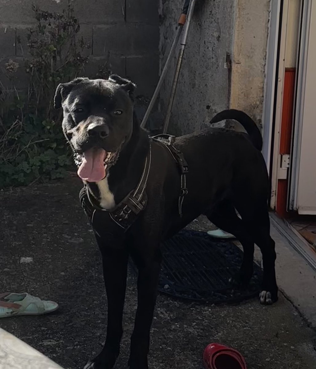 Wojtek 🇵🇱 🇫🇷 tweet media