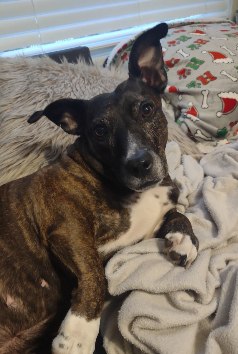 ShaneSaw M̷a̷s̷s̷a̷c̷r̷e̷ tweet media