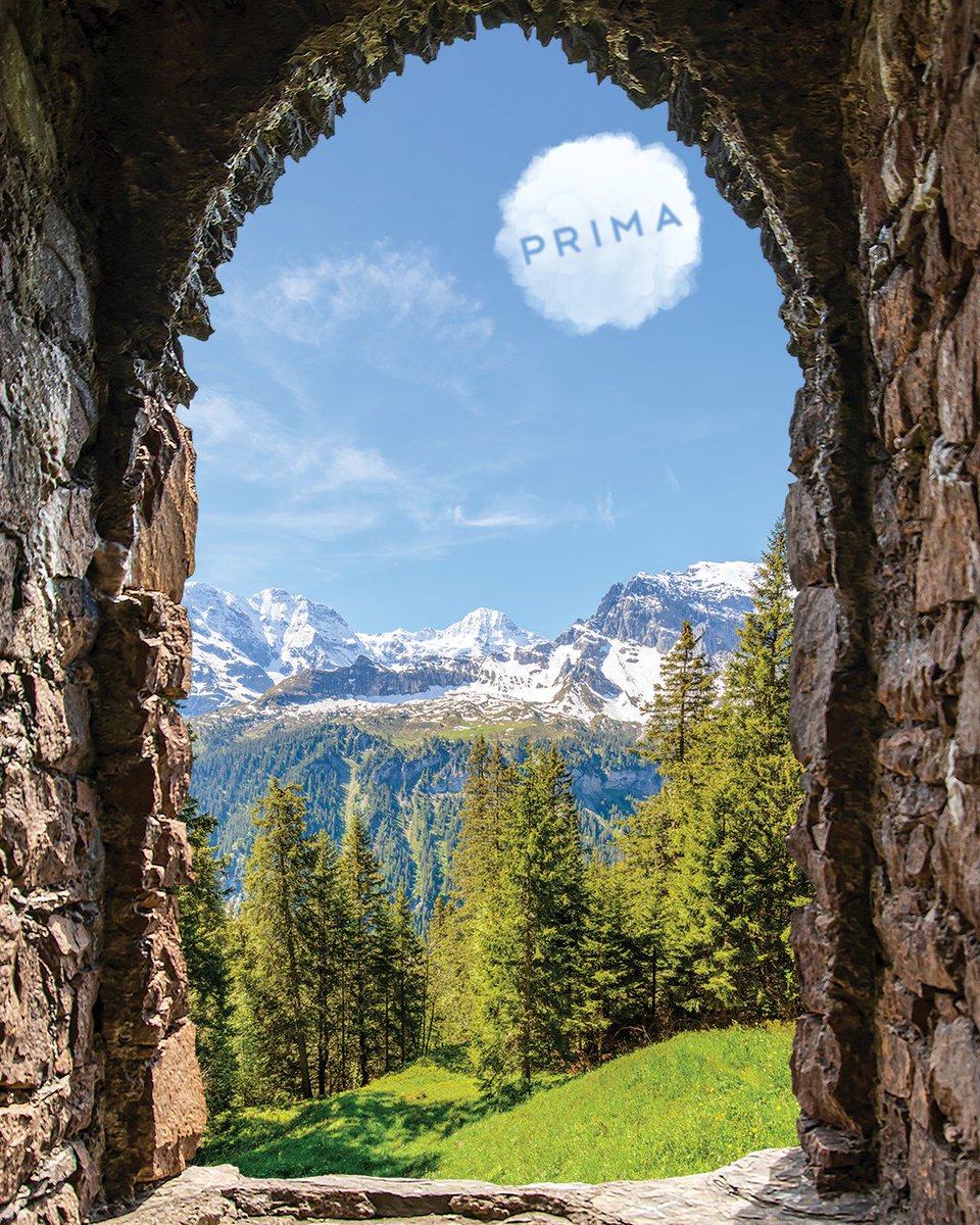 Time to touch grass cause spring is almost here!🌸 

#happyhumpday #prima #nature