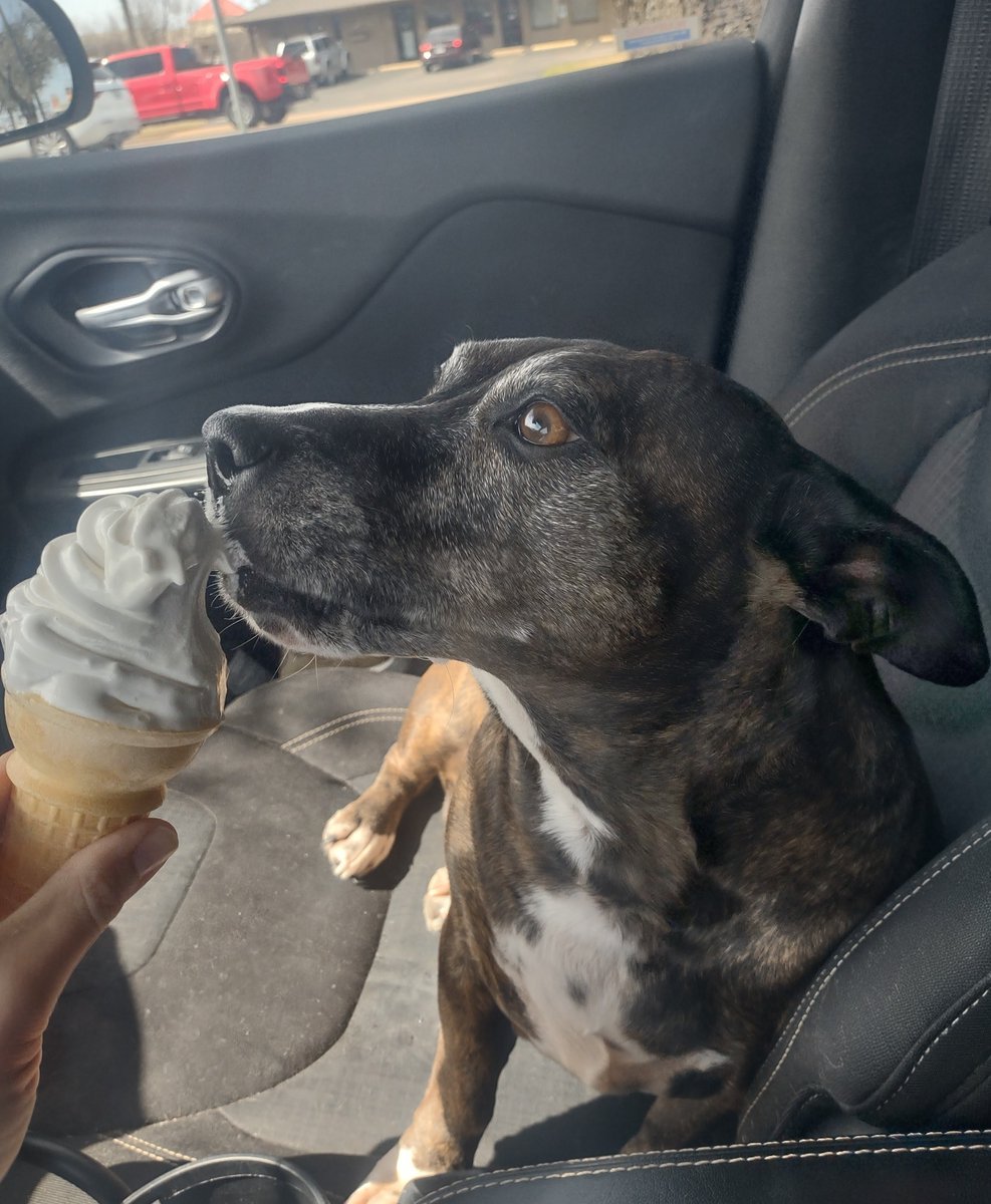 ShaneSaw M̷a̷s̷s̷a̷c̷r̷e̷ tweet media