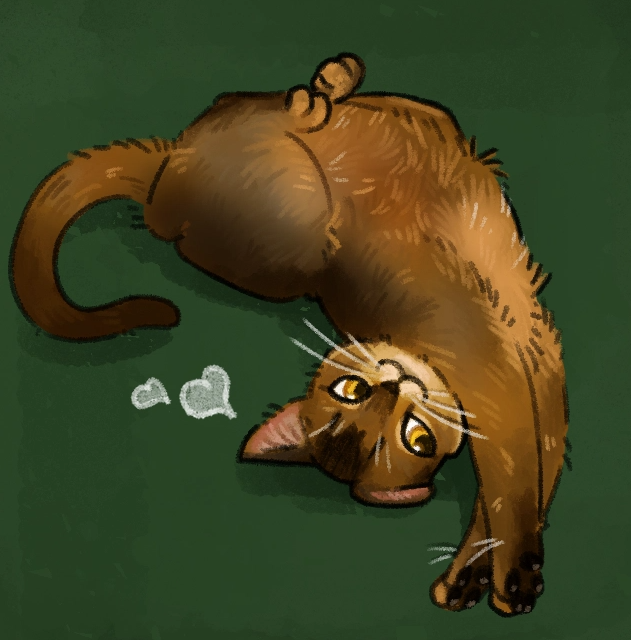 ๐์๋ง๐ tweet media