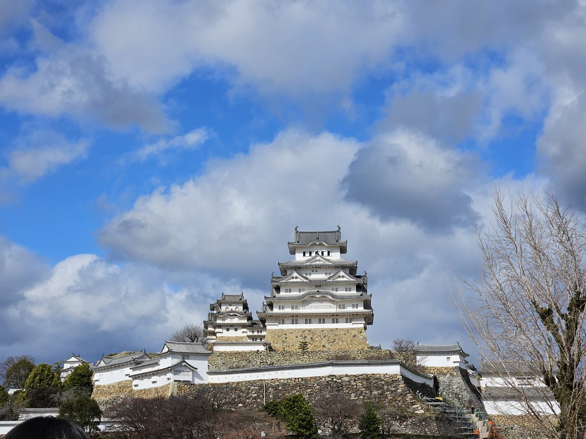 춘장덕후 tweet media