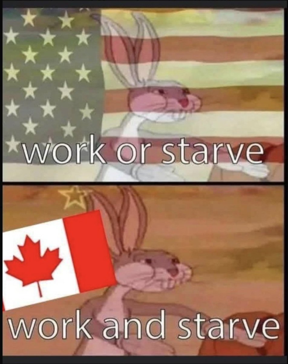 Trolling.Canuck tweet media