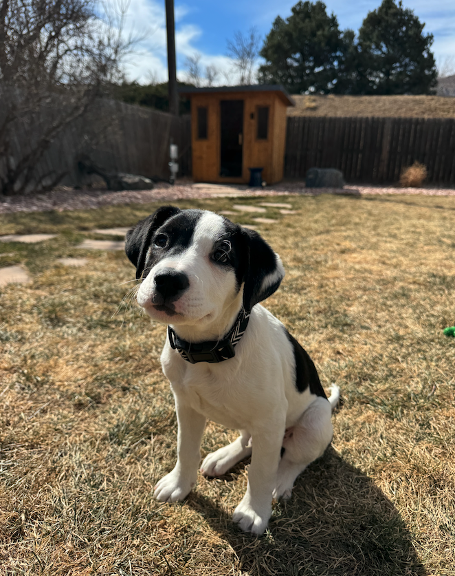 Jonathan Levitt tweet media