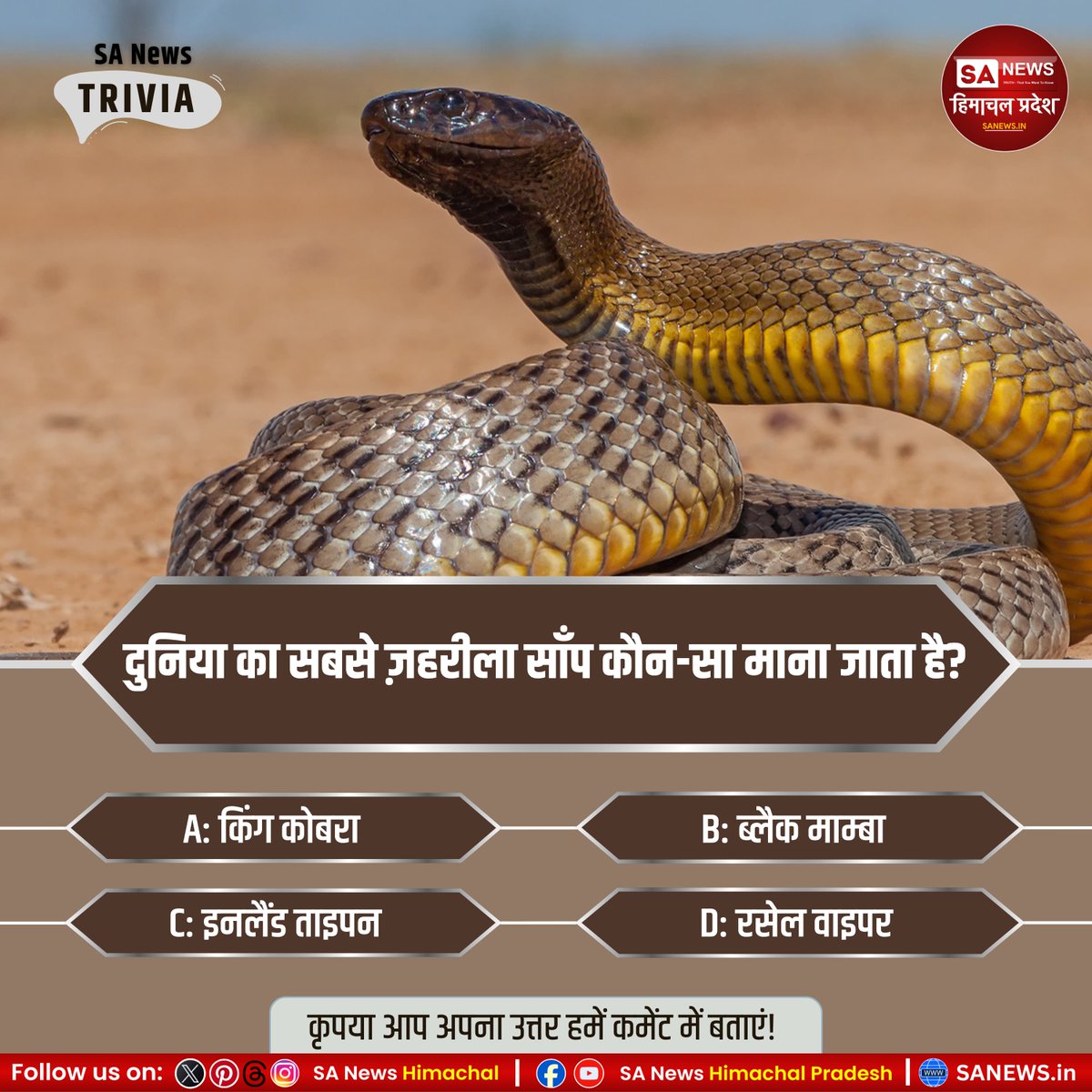 sanewshimachal's tweet photo. #Poll |दुनिया का सबसे ज़हरीला साँप (ज़हर की शक्ति के आधार पर) कौन-सा माना जाता है?
A) किंग कोबरा
B) ब्लैक माम्बा
C) इनलैंड ताइपन
D) रसेल वाइपर

कृपया आप अपना उत्तर हमें कमेंट में बताएं!

#SnakeFacts #worldsmostvenomous #inlandtaipan #kingcobra #russellviper #gkquestion #viralpost https://t.co/iUOYxwTDx7