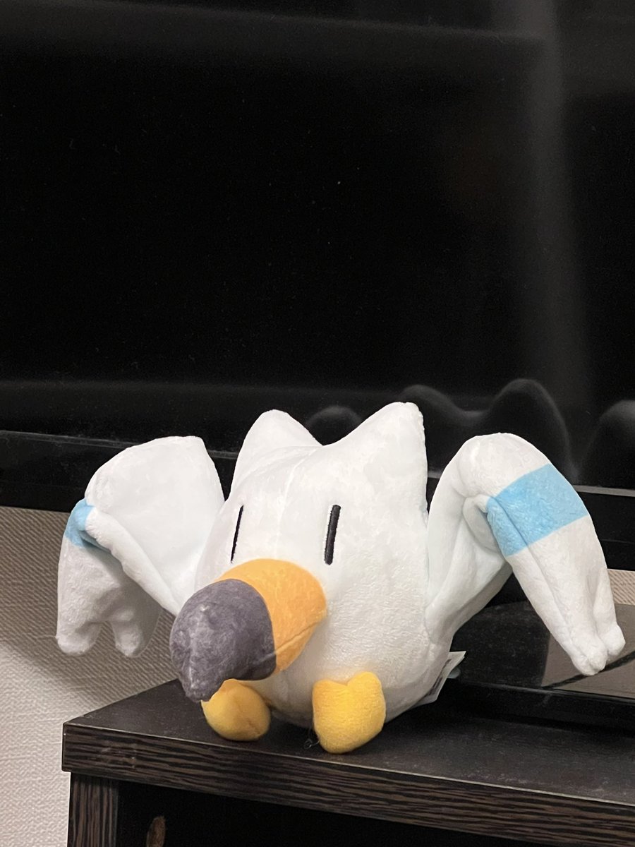 今回の休日は球場に連れて行く相棒を迎え入れるなどした