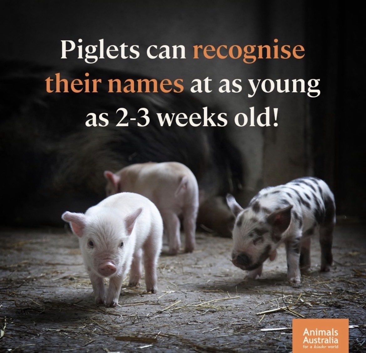 NothingIsArt (@nothingisart) on Twitter photo 