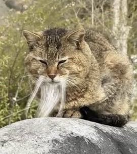 Brian Wallenmeyer ⏭️ Orlando tweet media