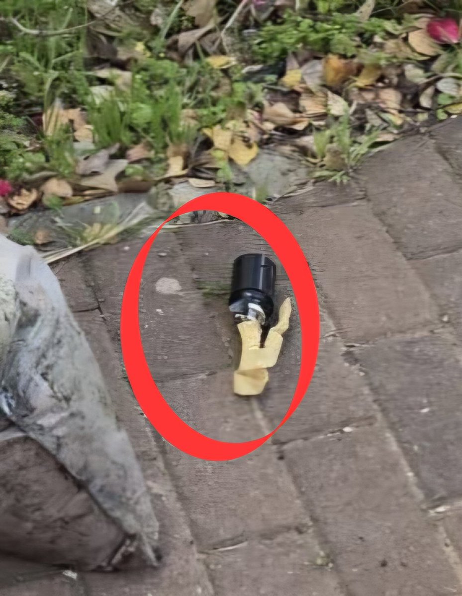 Rubi Hammerschlag | רובי המרשלג tweet media