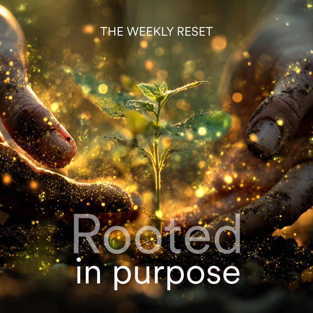 TRIPP Wellness tweet media