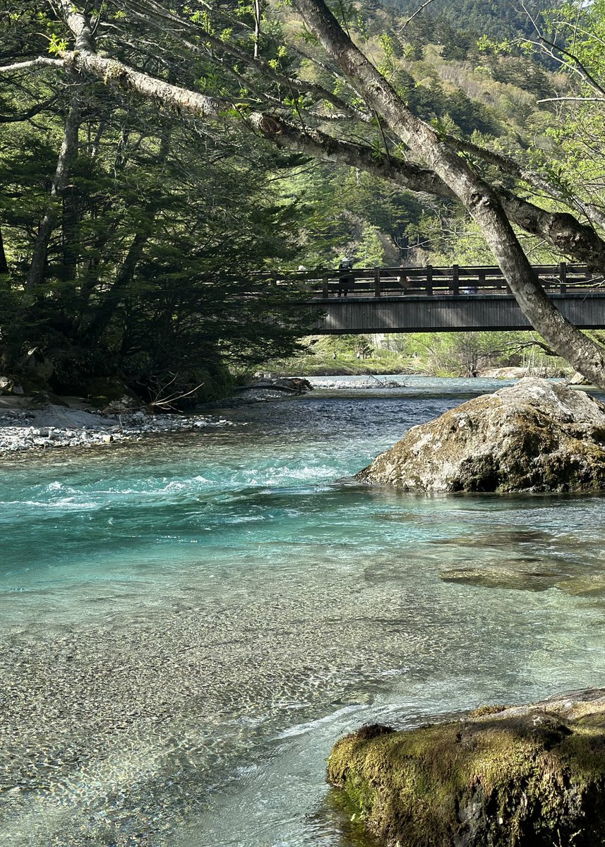 เลิฟอากาศช่วงปลายฤดูใบไม้ผลิที่ญี่ปุ่นมาก อากาศดีสุด ไม่หนาว ไม่ร้อนเกินไป กลางวันแดดอ่อน เดินเที่ยวสบาย ใส่เสื้อบางๆ ได้ เมืองสวย ฟ้าใส ถ่ายรูปปัง เดินทั้งวันยังไหว 🏔️🌲🍃✨