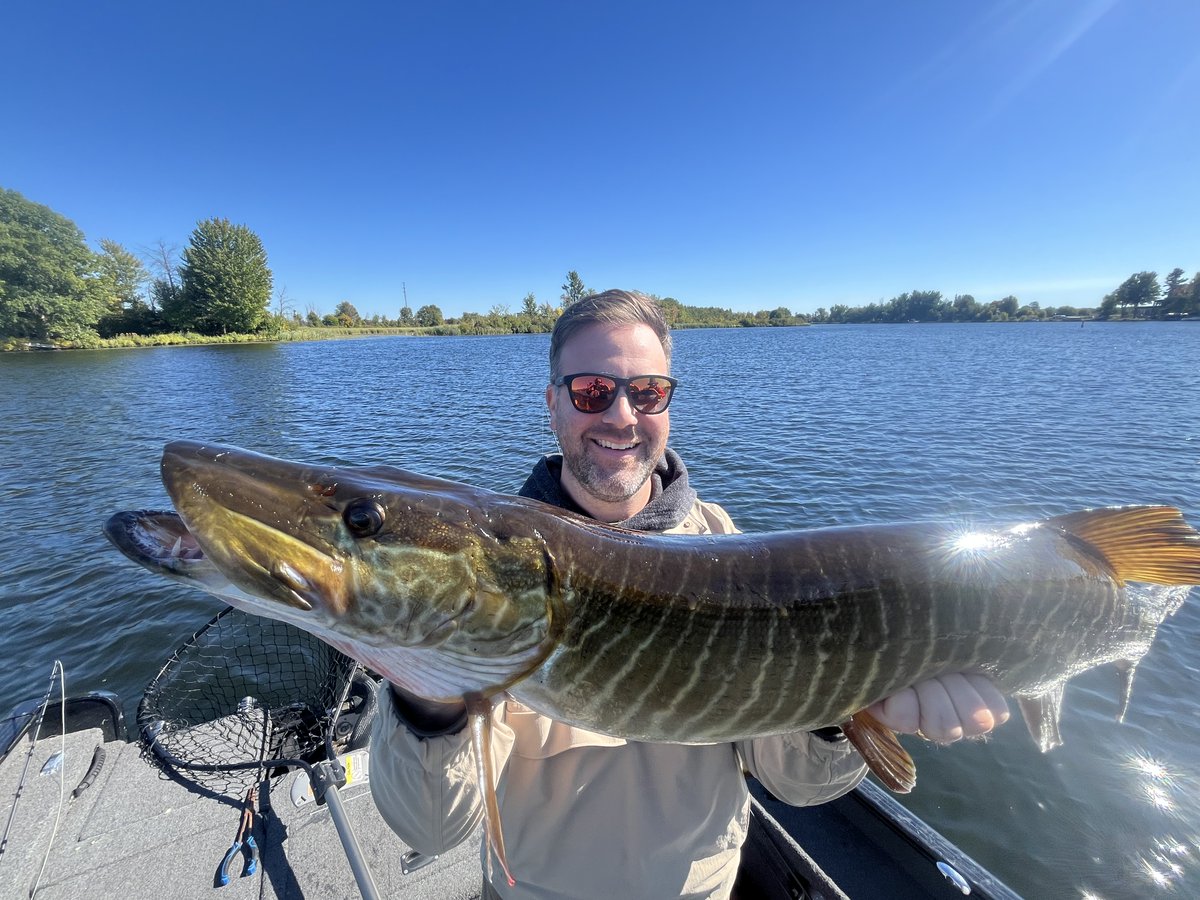 Jamie Pistilli / tweet media