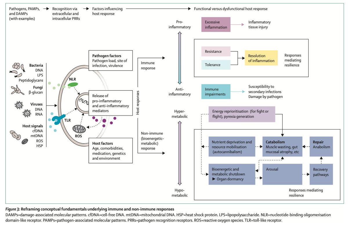 Oliverio tweet media