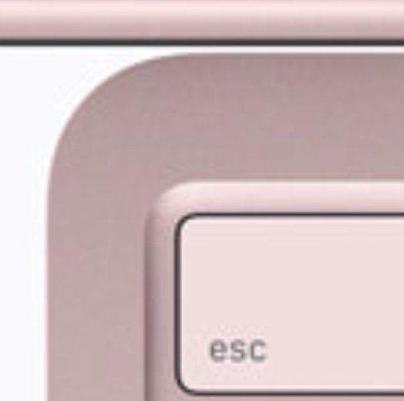 Michael Ma tweet media