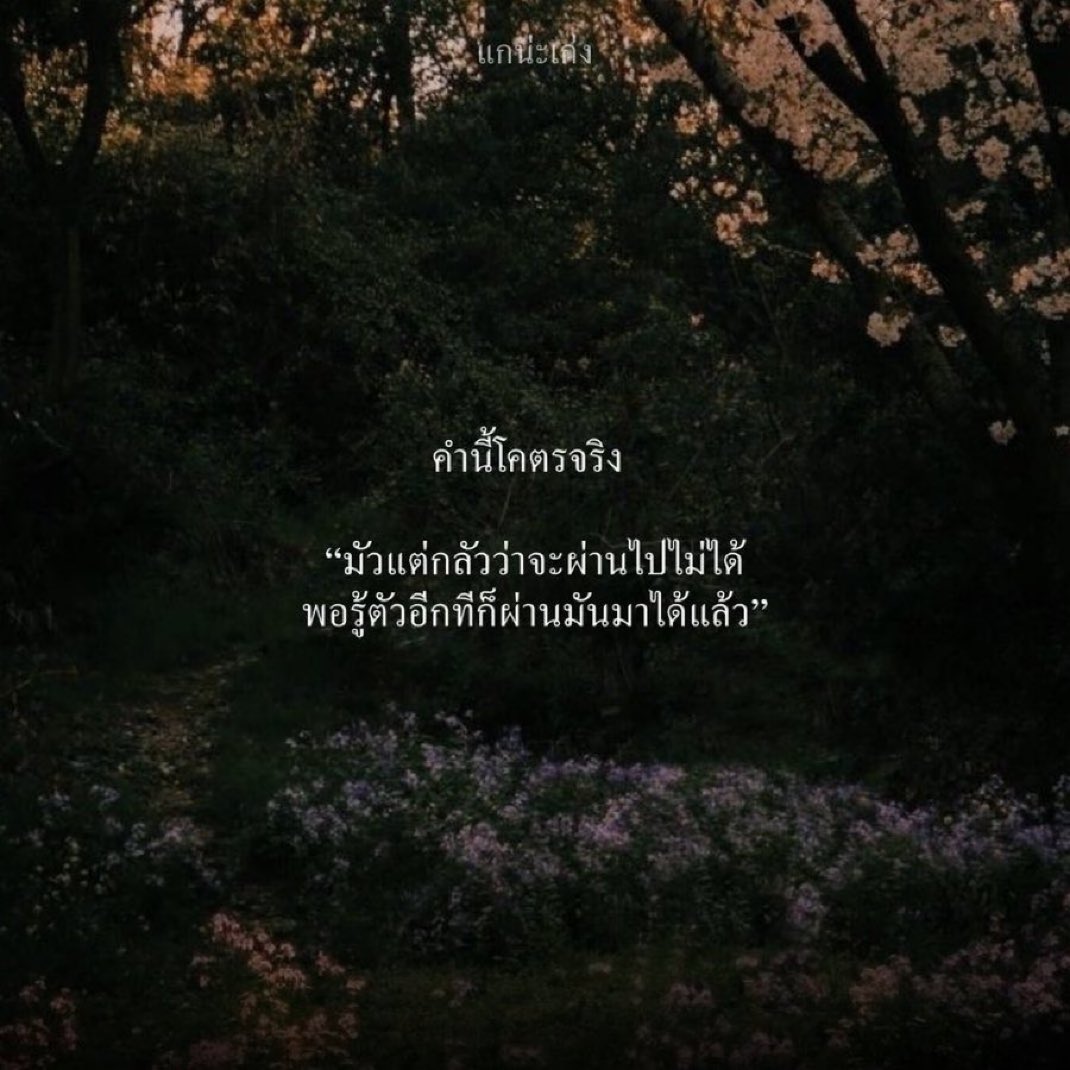 แกน่ะเก่ง tweet media