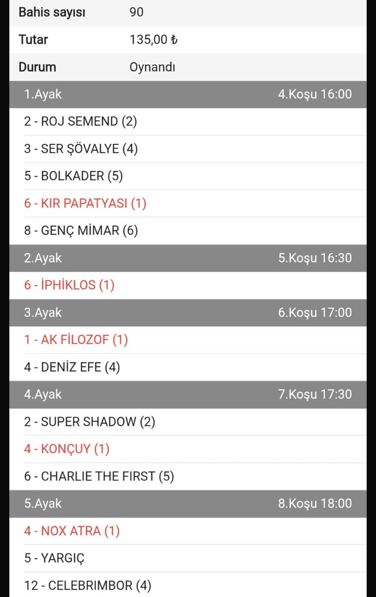 sadece at yarışı tweet media