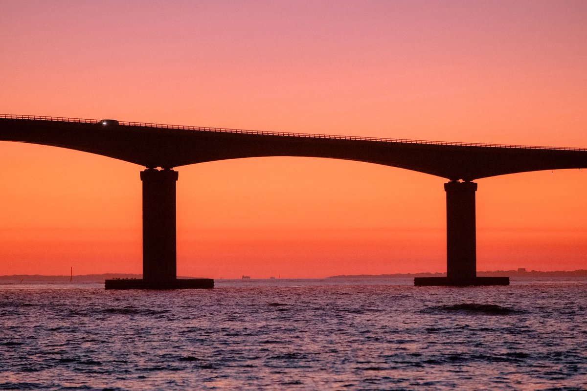 Alex Kittoe tweet media