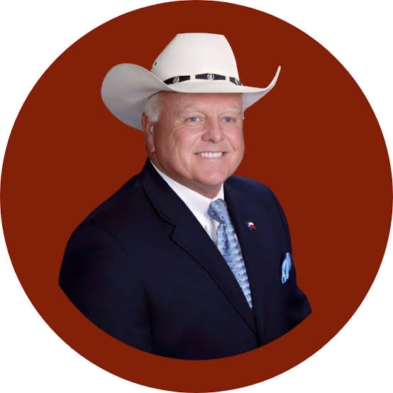 Big Bad Bear tweet media