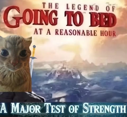 Tweets Of Cats tweet media