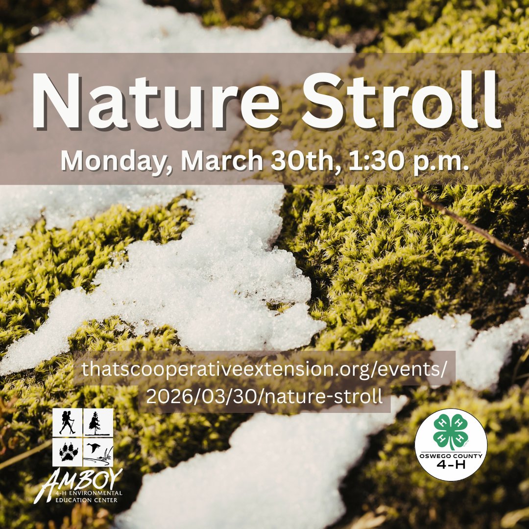 CCE Oswego tweet media