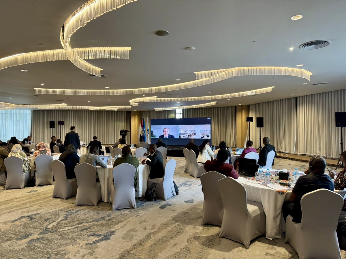 🌐Cairo International Center for Peace (CCCPA) tweet media