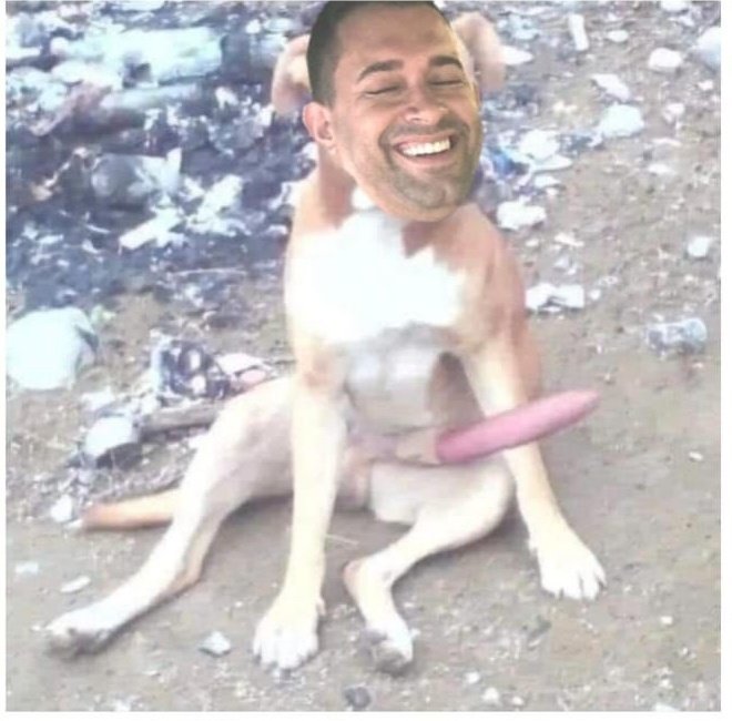 Amigos, nuestro perrito coco necesita ir al veterinario, esperamos su colaboración 😭