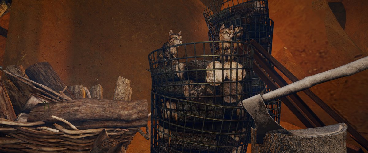 Inara Pey 🇺🇦 - https://www.primfeed.com/inarapey tweet media