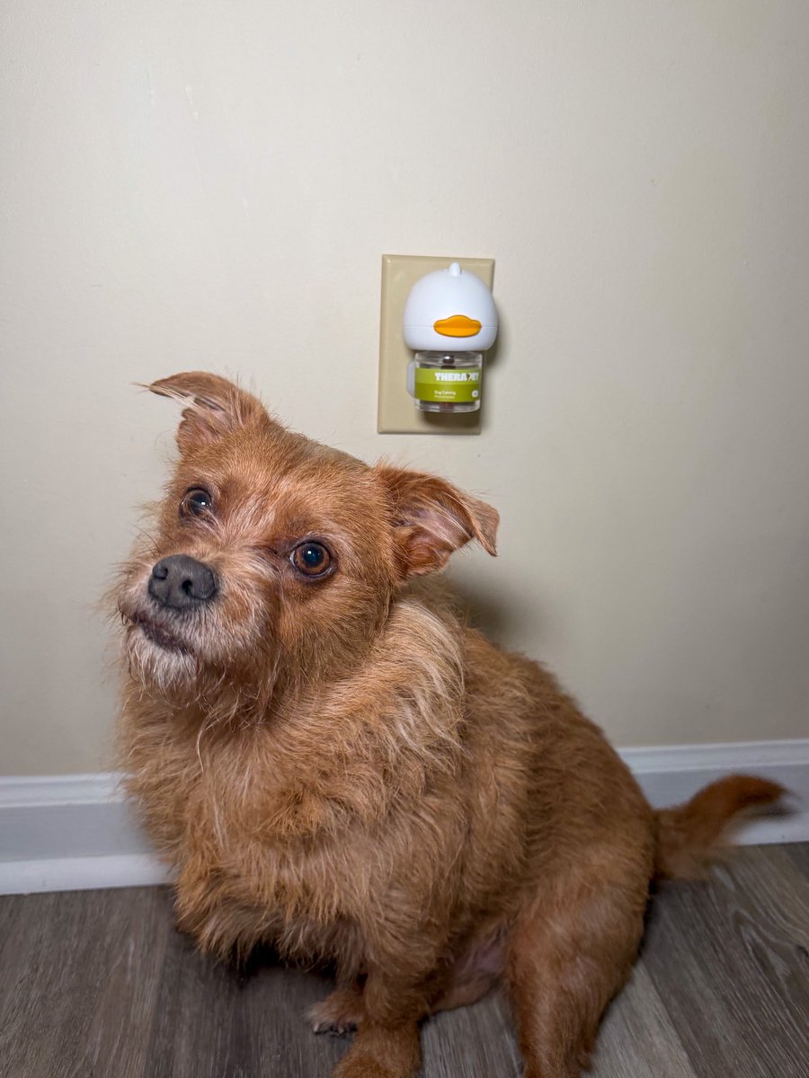 Natalie | UGC Creator tweet media