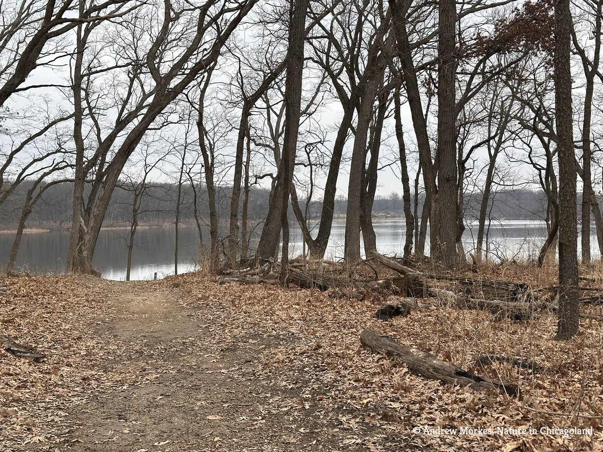 Andrew Morkes tweet media