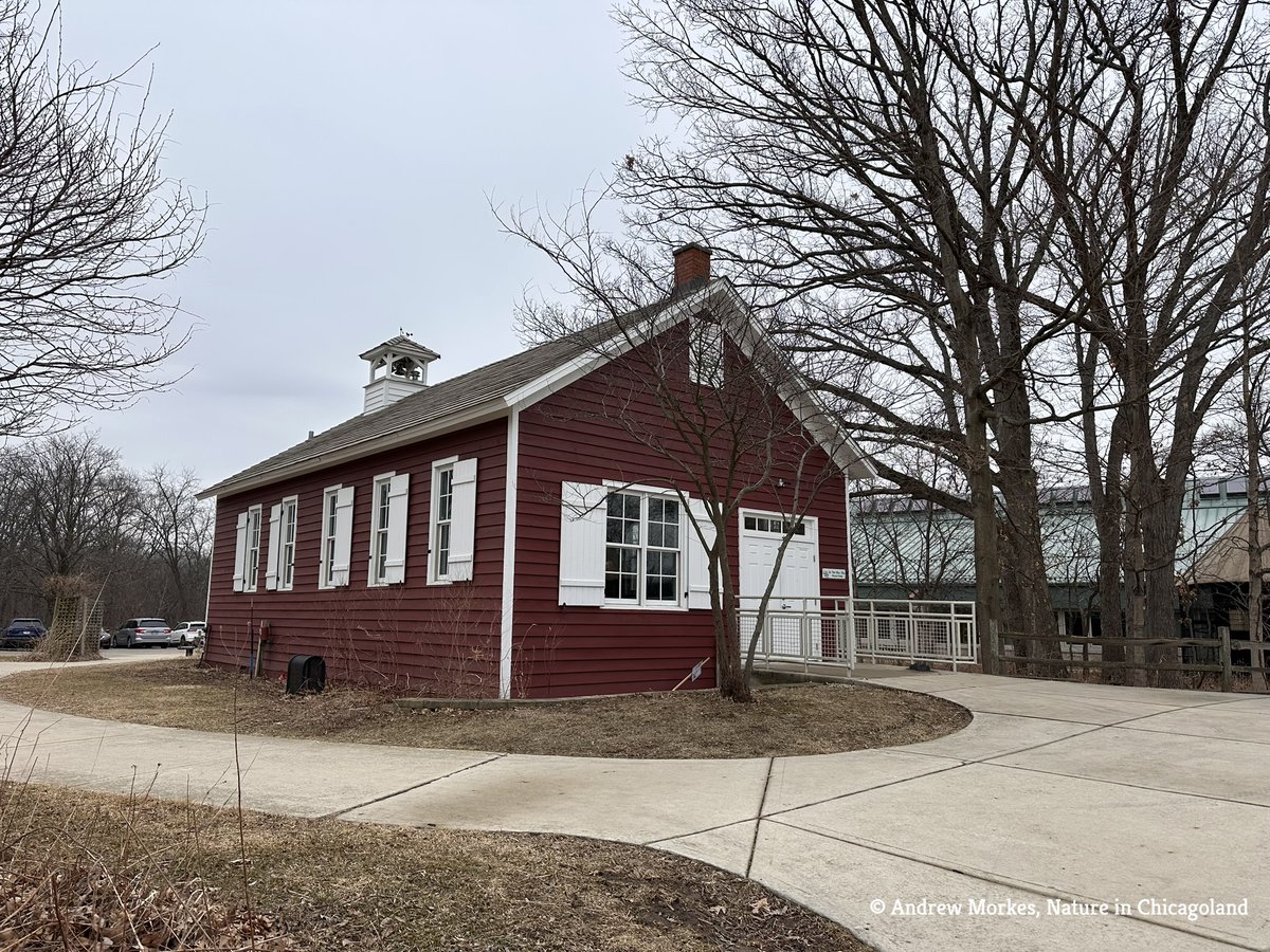 Andrew Morkes tweet media