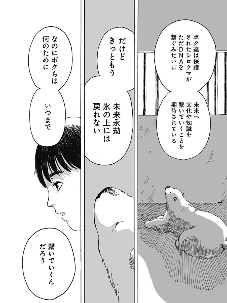 Nishigai tweet media