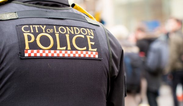 Police Professional tweet media