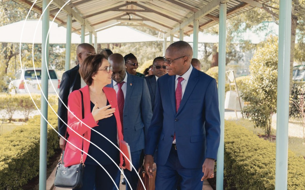 World Organisation for Animal Health in Africa tweet media