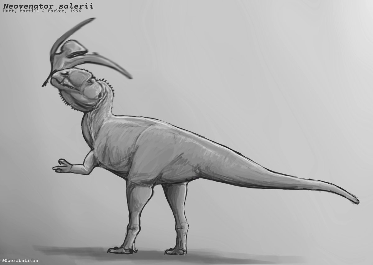 †Neovenator salerii - Hutt, Martill &amp; Barker, 1996.

ℹ | Um Neovenator rapidamente capturando um tapejarídeo na boca, durante o Cretáceo inferior da Inglaterra.