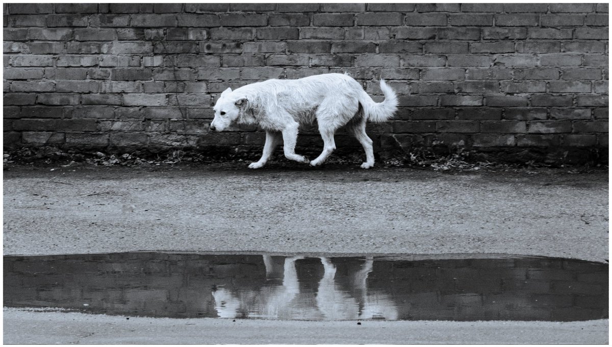 дзеркало 📷