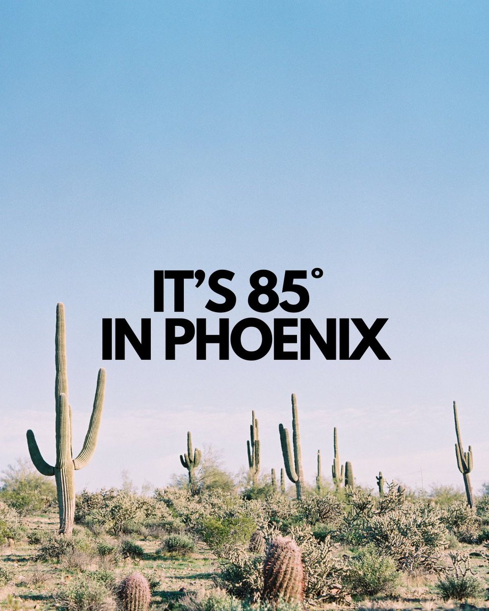 BalloonsAZ's tweet photo. You should be here! ☀️

Arizona is having a moment, and we are here for it 🙌🏼

The weather is beautiful, sun is shining + flowers are in bloom 🌼

When you're ready to take it all in, we're here waiting to cruise the skies with you ☁️

https://t.co/wQLyKetdxp 🔗 https://t.co/xZYDrZznPW