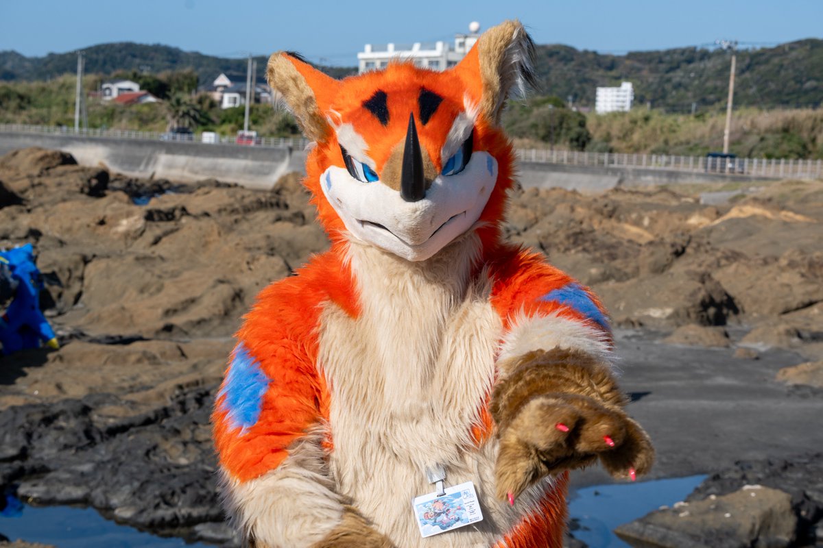 はやぶさ tweet media