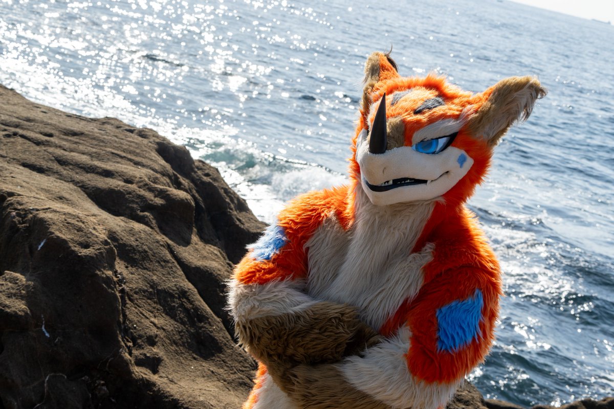 はやぶさ tweet media