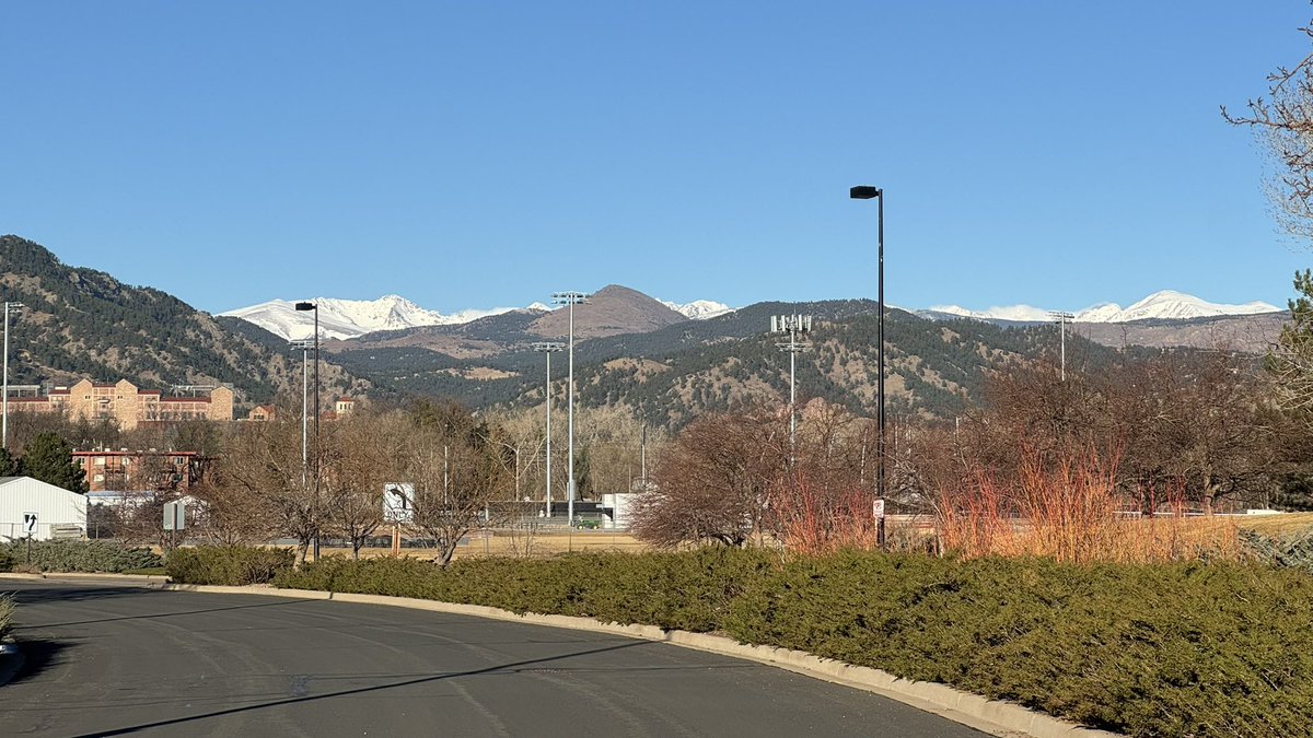 Risa Ito tweet media