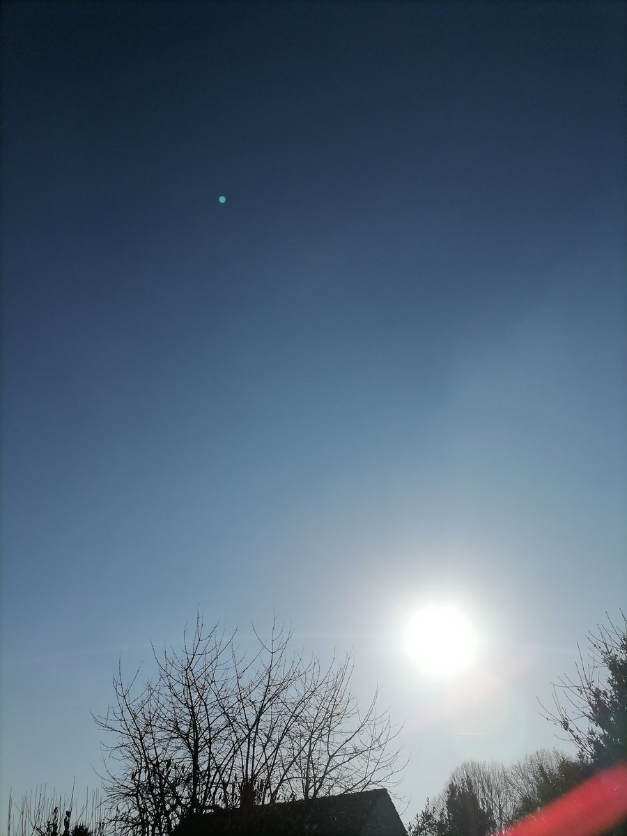 Crypto Meow Meows tweet media