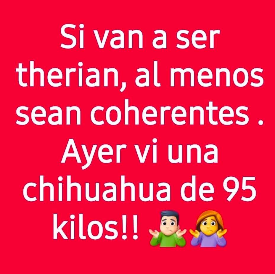 elbisquit's tweet photo. https://t.co/Ad84TvvNB8