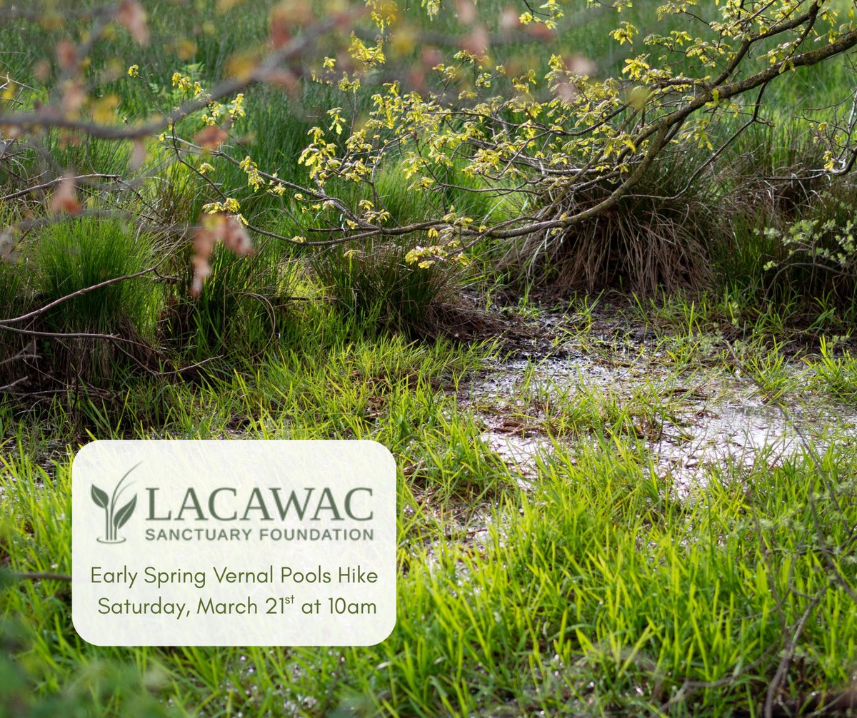 Wayne Tomorrow! tweet media